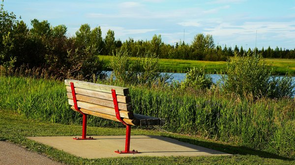 Guide Ultime sur le Magnésium : Soulager Efficacement les Symptômes de la Dépression Légère pour un Mieux-Être Total